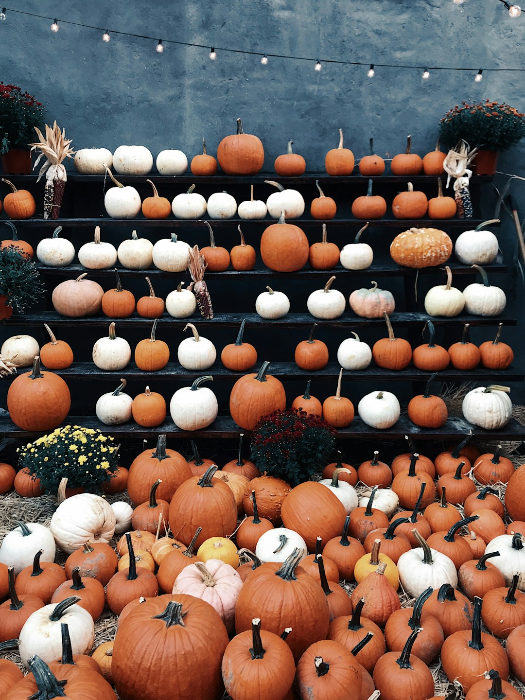 Ghoulishly Good Halloween Cocktails You Must Try This Year