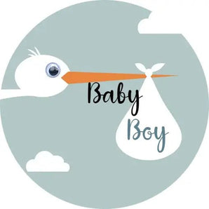 Personalised Baby Shower Topper | Boy Stork Giraffe Cocktails